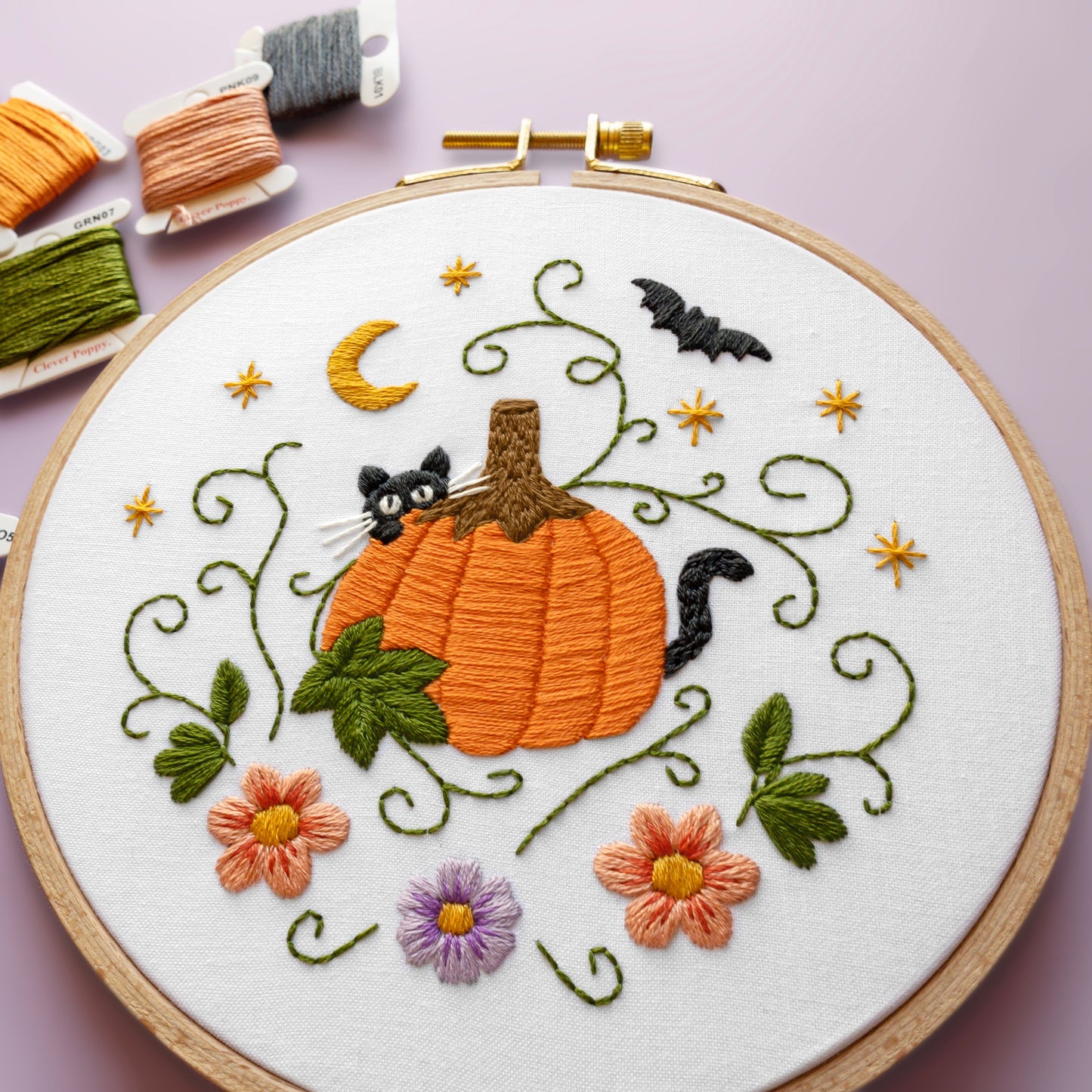 Purrfect Pumpkin Beginner Kit